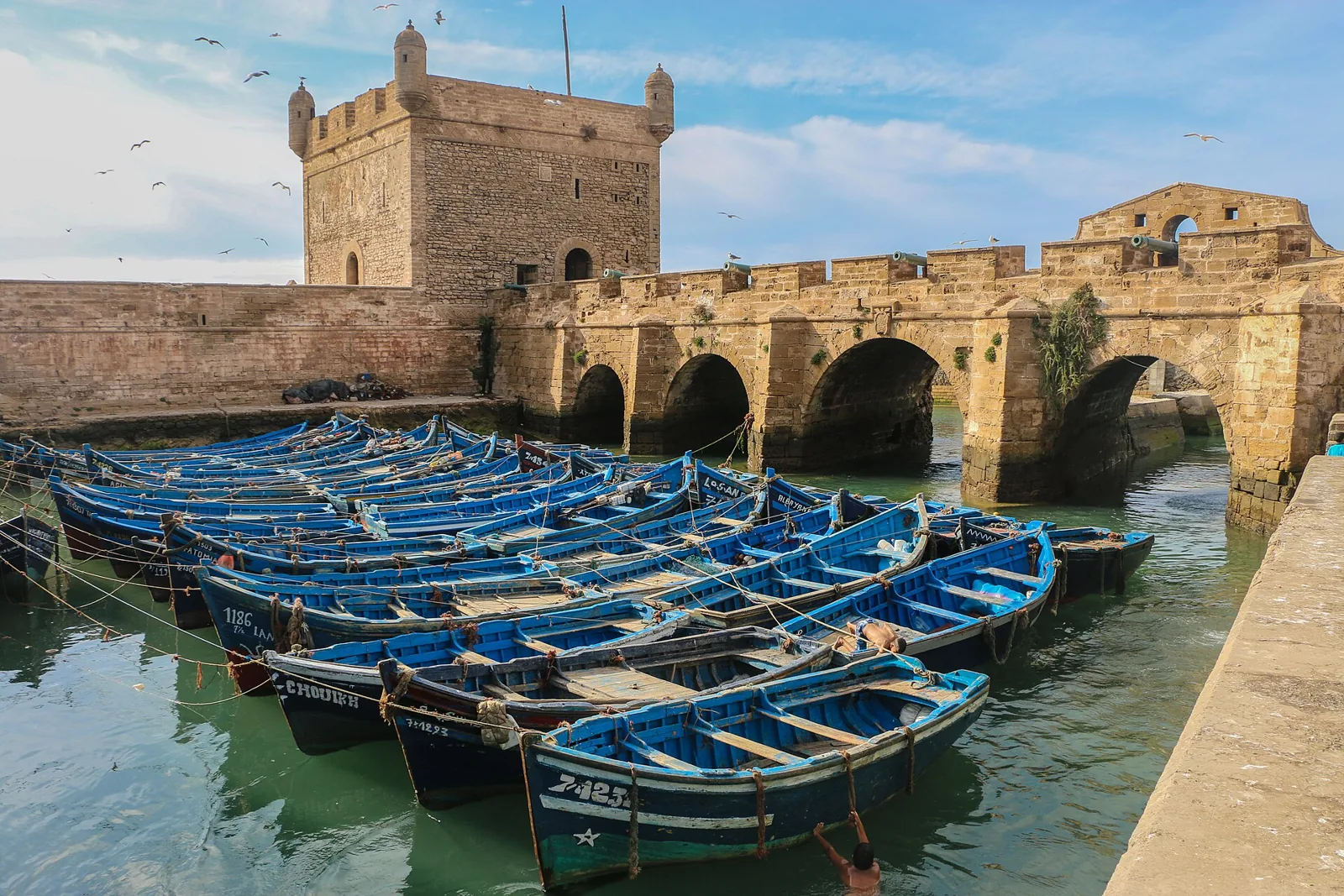 Essaouira fishing port